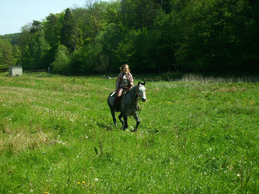 my ;*