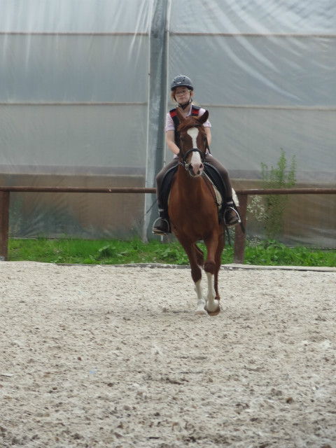 z Gigusiem [18.07.2012]