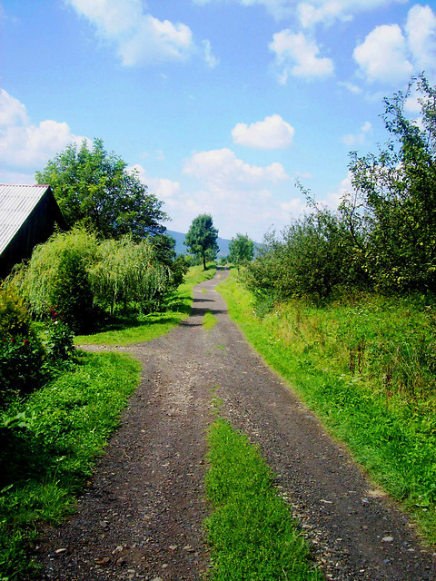 rozdzia 13.