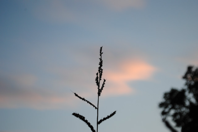 lovely night. 