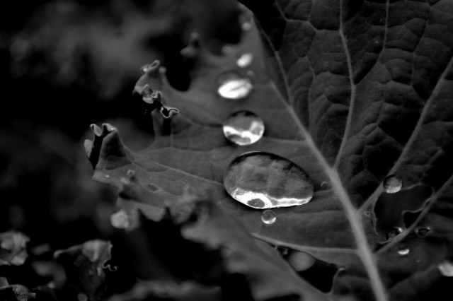 F: Natalia Dudzic