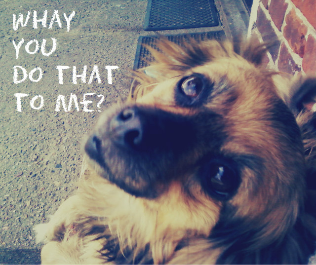 Whay ?? 