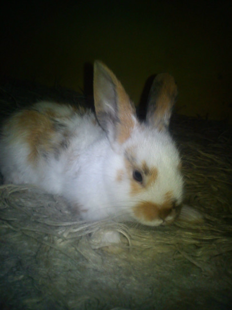 Klulicekk ;d xdd:**