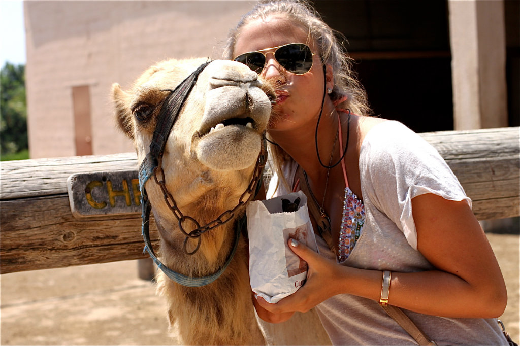 Camel Park