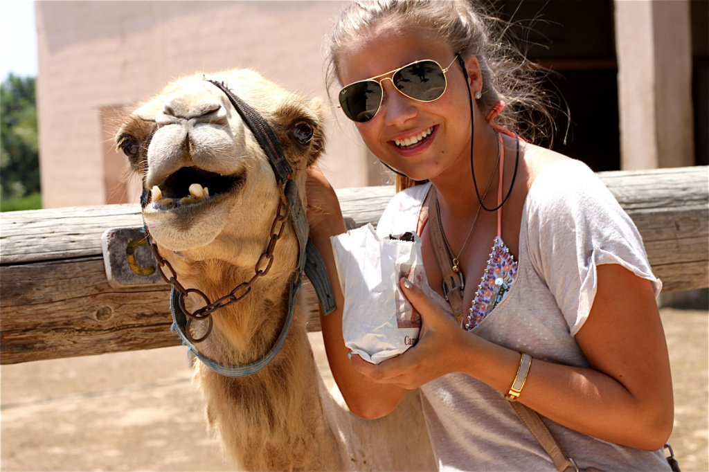 Camel Park