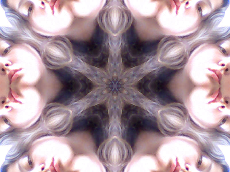 dymorfizm pciowy