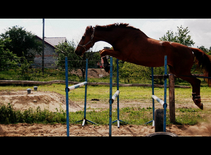 Jamajutka;D