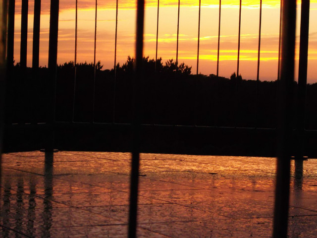 view from behind grating of the 