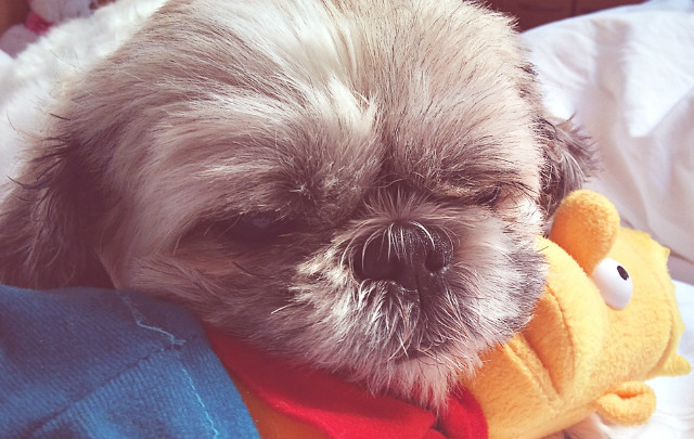 flash < 3