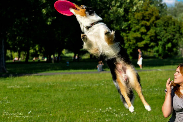catch it ;-)