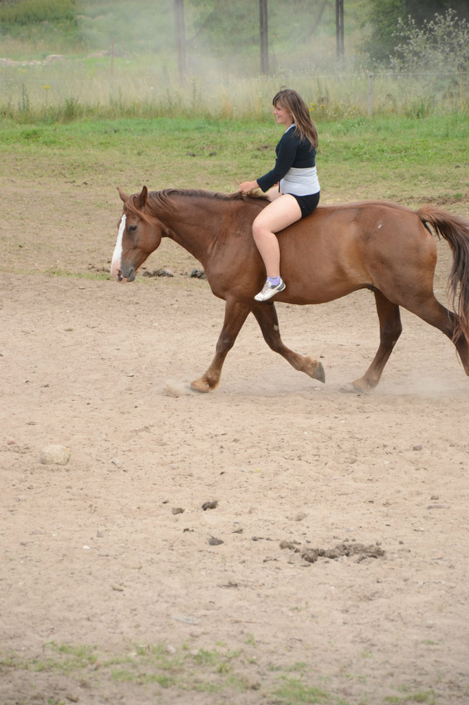 serdel :)