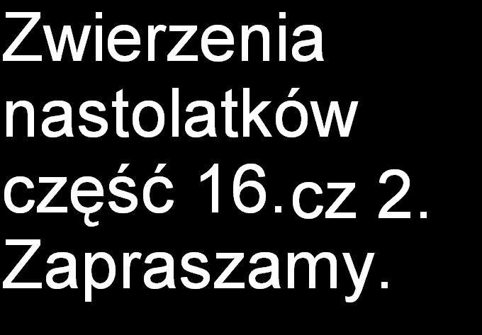 zapraszamy