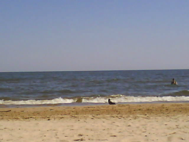 2009