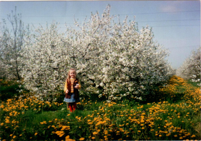 1998