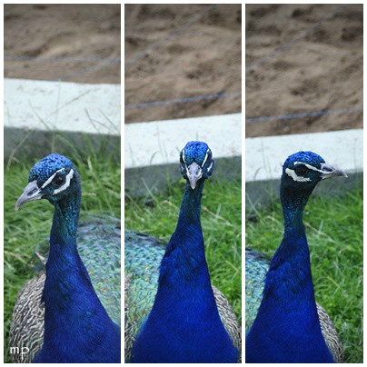 Dzie Dobry :D ! 
