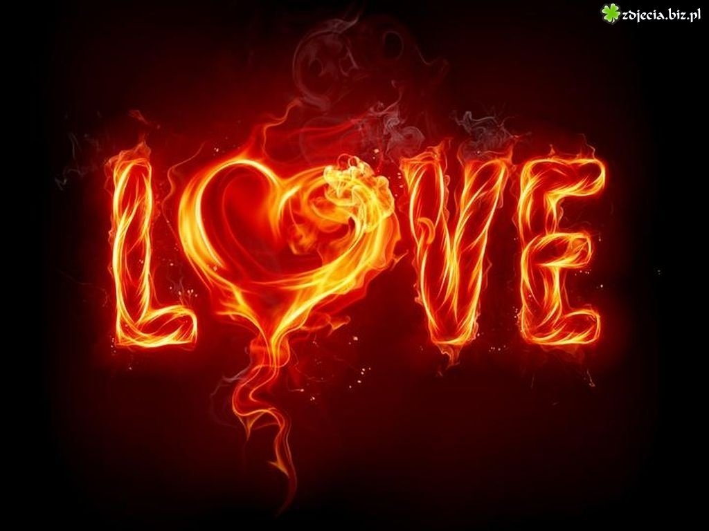 LOVE