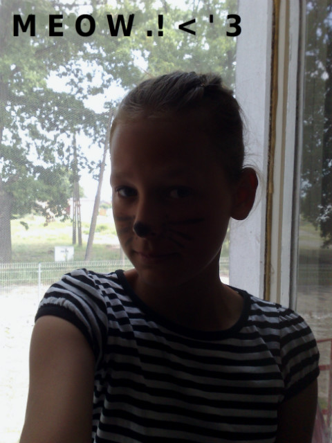 Meow .! < ' 33