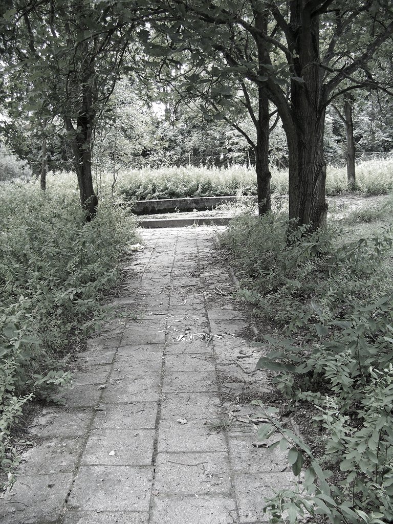 1.