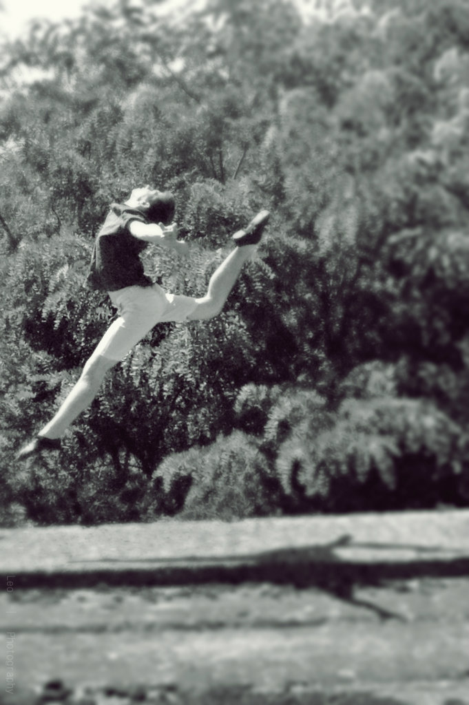 Firebird [?]...
