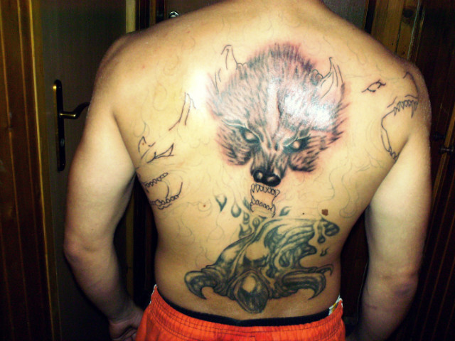 Wolf