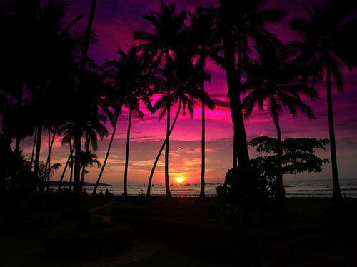 Summer Paradise