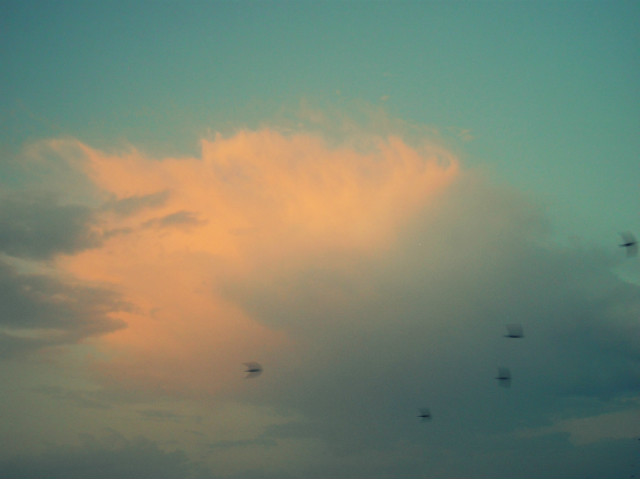 Sky-aj-aj-aj