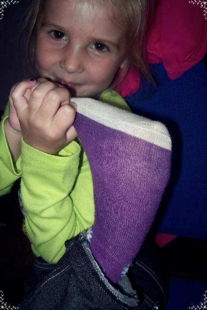 Amelcia . 