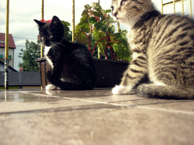 Fred i Tosia ;)