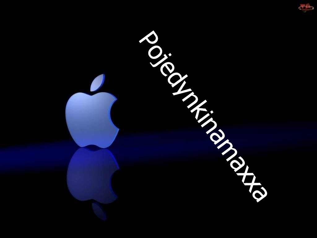 pojedynkinamaxxa