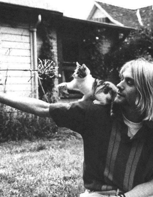 kurt cobain 
