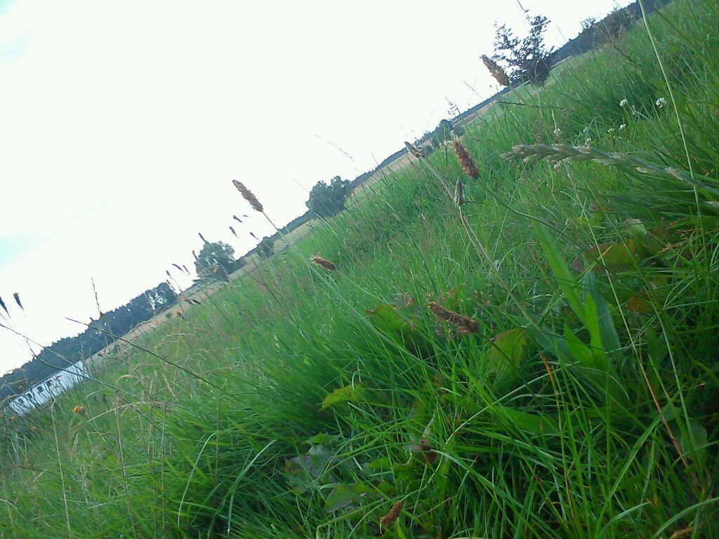 mms_img28453