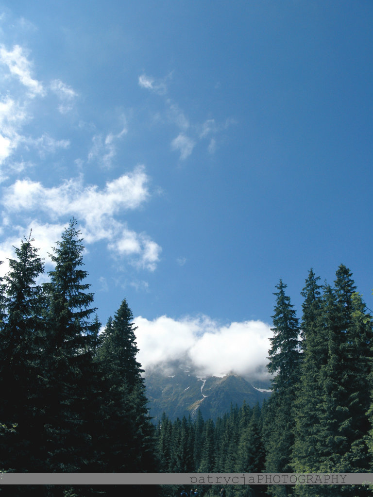 Zakopane '11