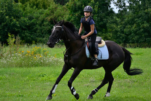 Netia