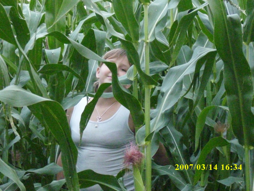 Takie tam ;D w kukurydzy *haha* 