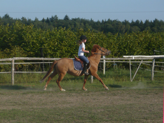 Galop ;]