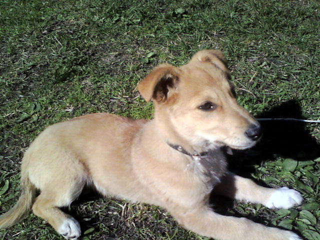 mj Maxiu < 33