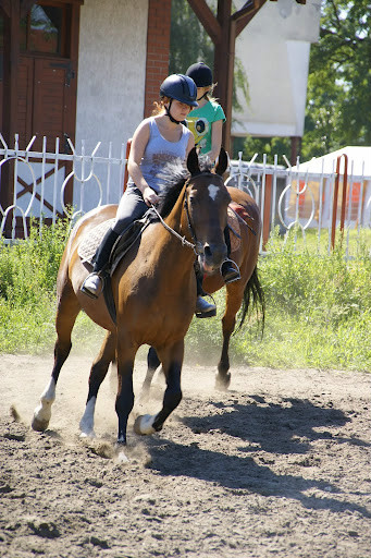 Ksenonek.,;