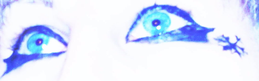 Snow Whithe Eyes