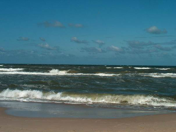Morzee !!!