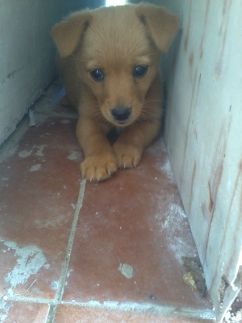 tofik :P