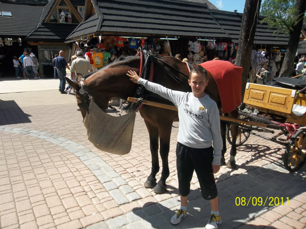 konik xD