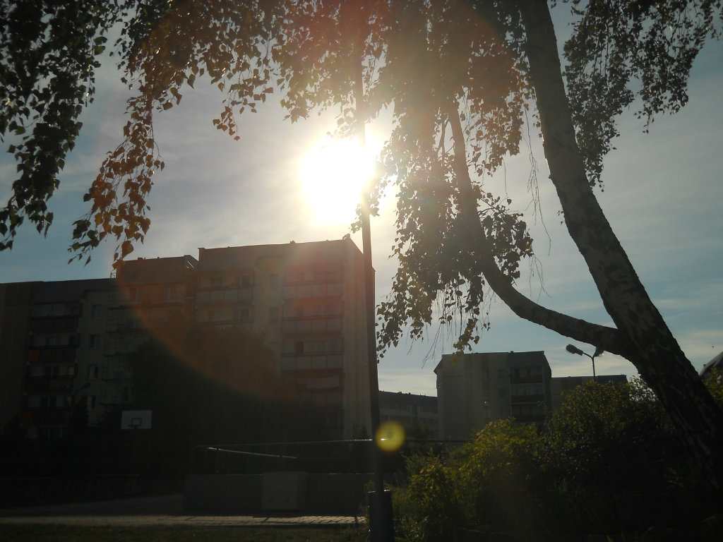 Werka.