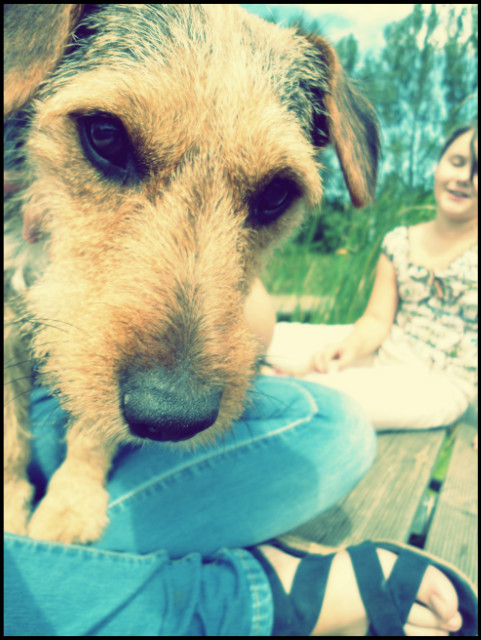 Muffi.! ;D