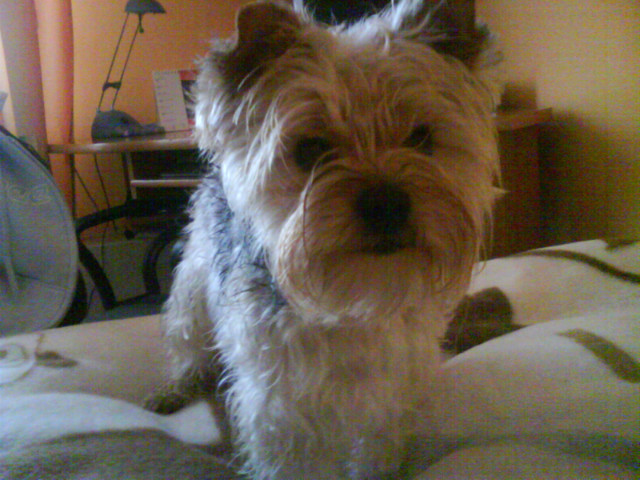 Coody:**!
