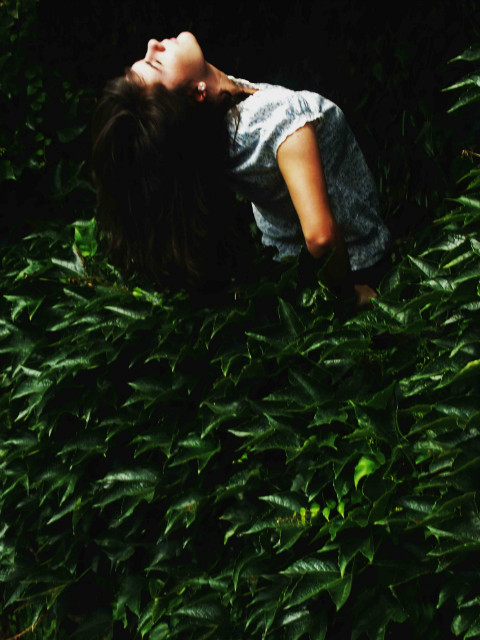 ivy