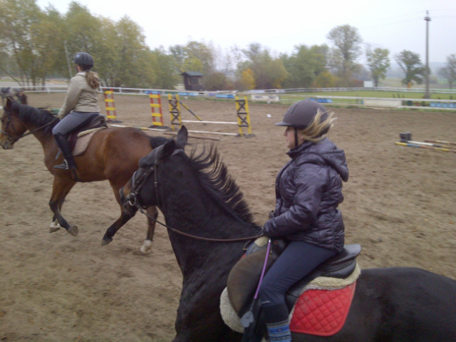 Galop na  ukochanym koniu ze sta