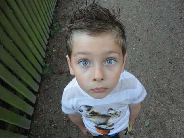 Gabrys.