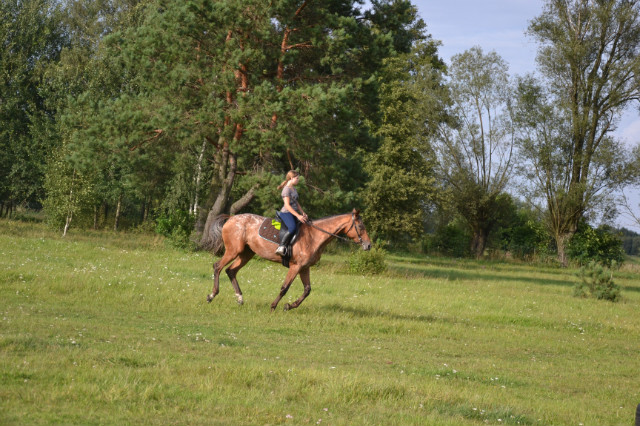 nieka