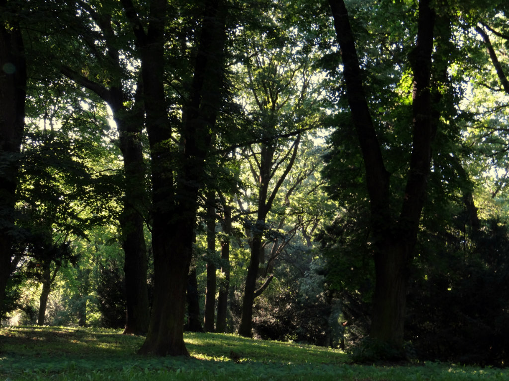 Park Kasprowicza :D