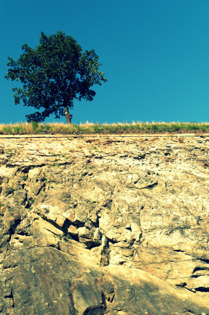 paradies